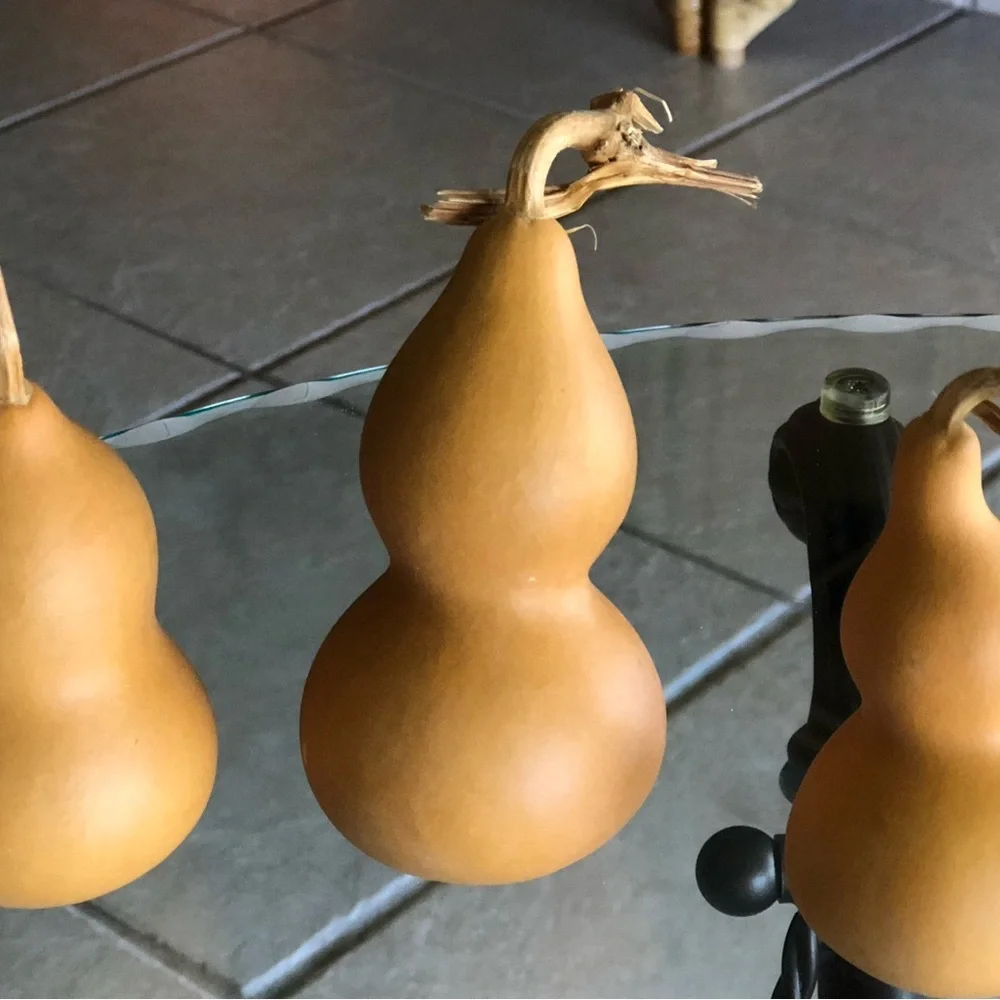 Natural Brown Decorative Gourd Accent - Brand Unbranded